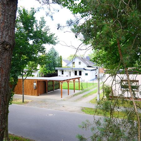 Haus Kleiner Findling Im Lausitzer Seenland Tätzschwitz Εξωτερικό φωτογραφία