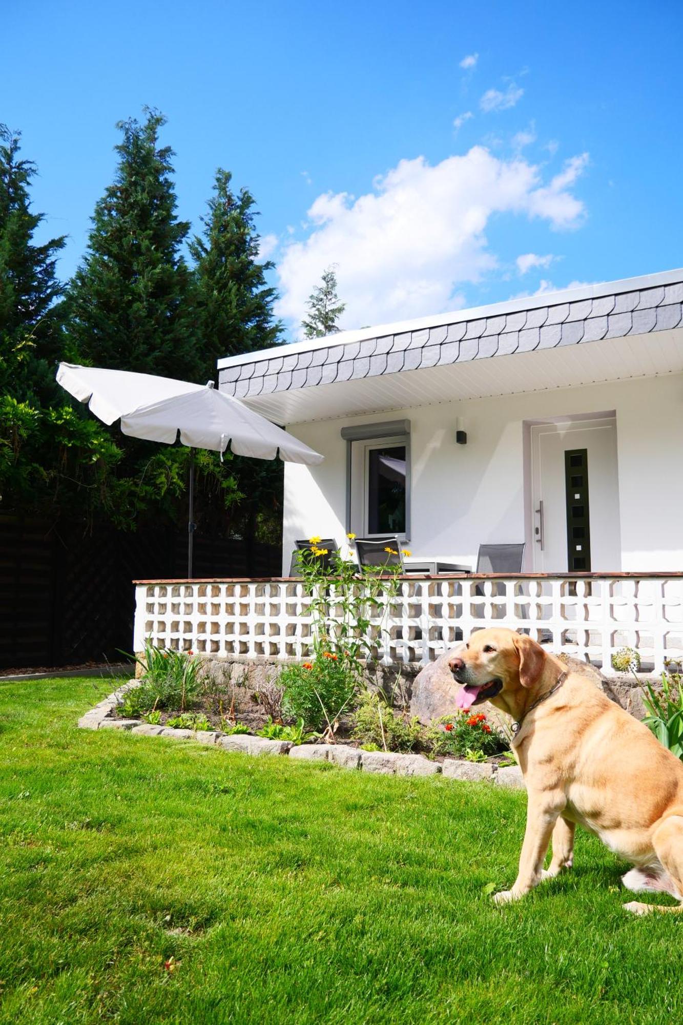 Haus Kleiner Findling Im Lausitzer Seenland Tätzschwitz Εξωτερικό φωτογραφία