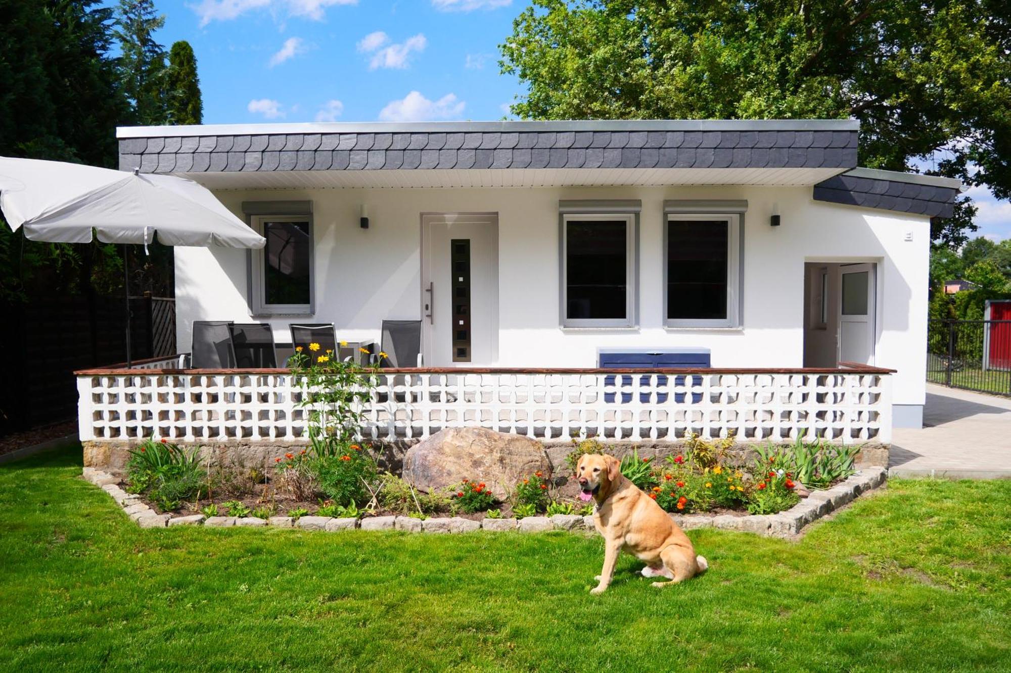 Haus Kleiner Findling Im Lausitzer Seenland Tätzschwitz Εξωτερικό φωτογραφία